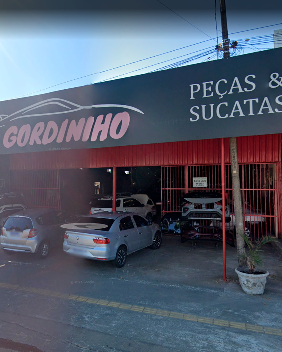 GORDINHO 03